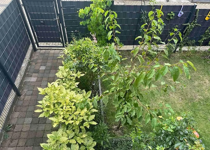 公寓 Charmantes 2-etagen Haeuschen- Koeln-phantasialand 胡尔特